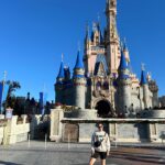 maria teresa ornelas silva maria teresa ornelas silva