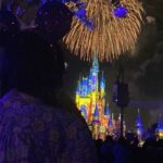 Where dreams come true!